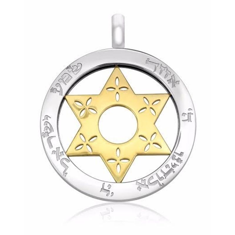 תליון מגן קטן ועדין עם שרשרת